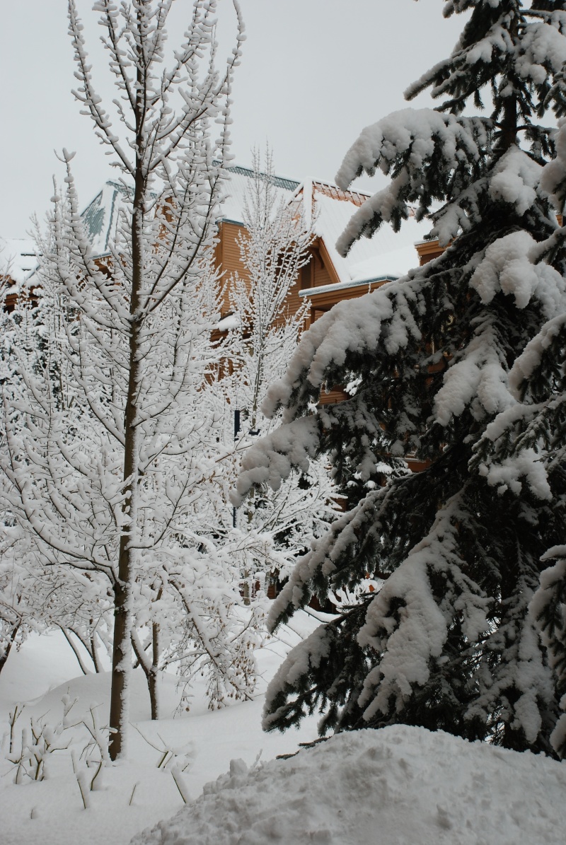 2009/03(Mar)/WHISTLER WITH MUSSATTOS/800x600_2009-03-WHISTLER WITH MUSSATTOS 14.jpg